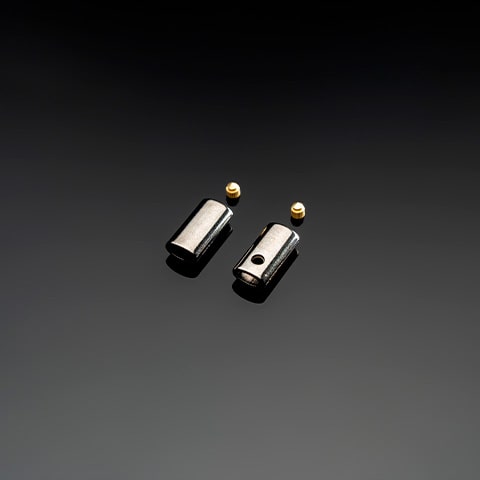 Coprinodo con Spinetta d'Ottone